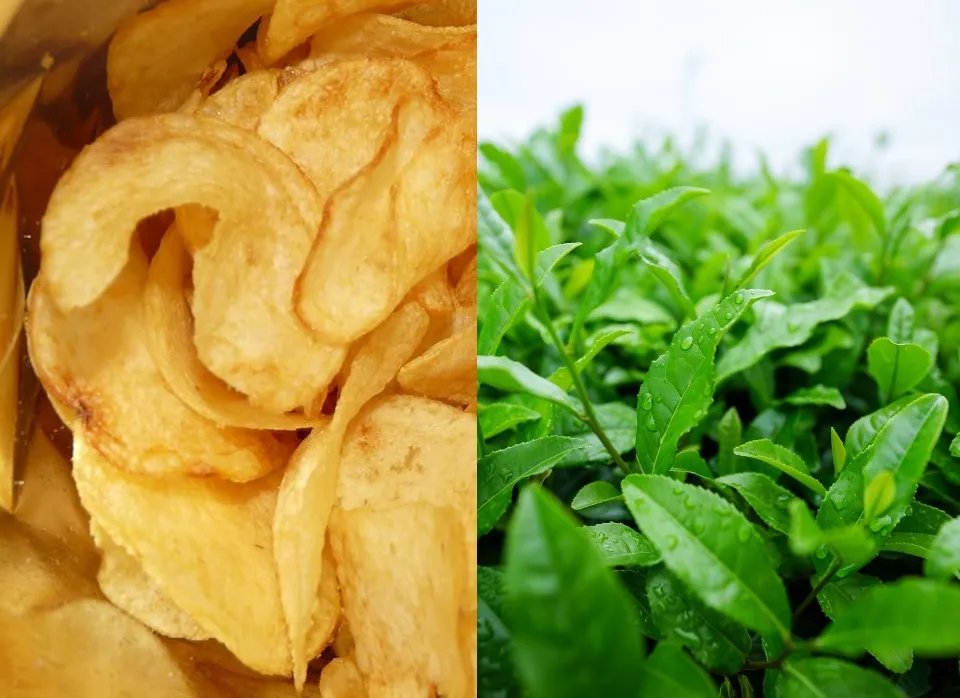 W czasopiśmie Foods, należącym do wydawnictwa MDPI, w styczniu 2023 został opublikowany artykuł, w którym autorzy badają wpływ ekstraktów różnych herbat na ilość szkodliwych substancji w chipsach.