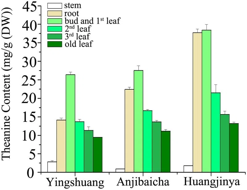 Zawartość L-teaniny w różnych częściach żółtolistny i białolistny odmiany krzewu herbacianego